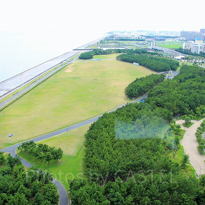 ディズニーふるさと納税（浦安市）