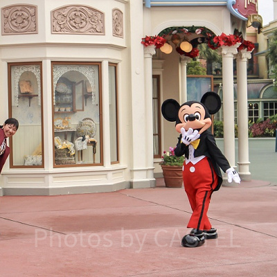 ディズニーオンラインショッピングまとめ