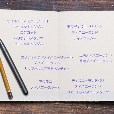 世界のディズニーパーク