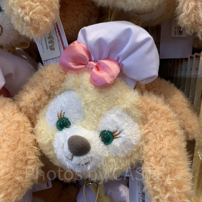 ディズニーパスケース