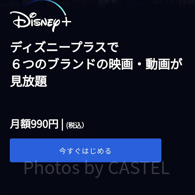 ディズニープラス　月額と年額