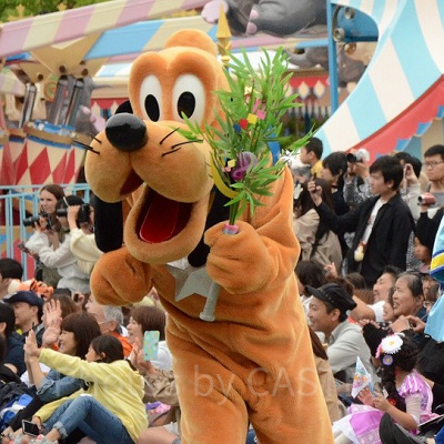 ディズニークイズ（プルート編）