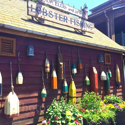 ディズニーリゾート看板クイズ⑦