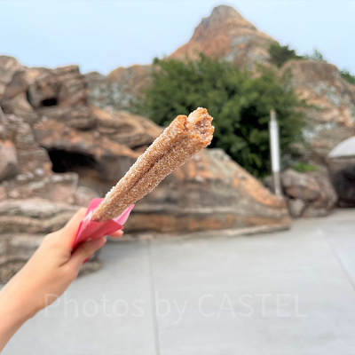 ディズニーシー食べ歩き：ミッキーチュロス（シナモン）