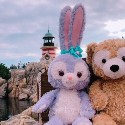 ディズニーシーのファストパス
