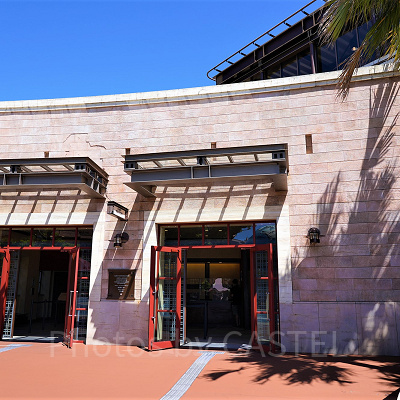 ディズニーシーのゲストリレーション