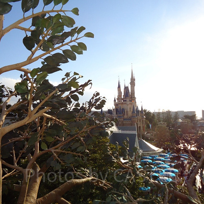 ディズニー雑学