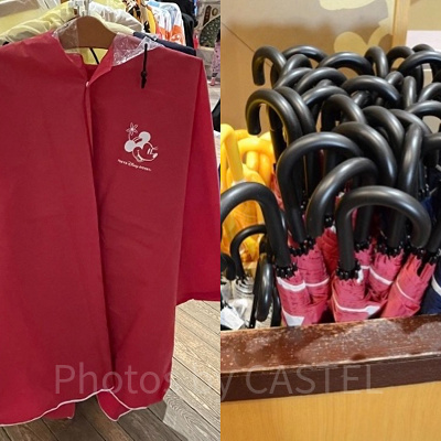 雨の日の子連れディズニーにおすすめの持ち物は何？