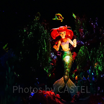 カリフォルニア・アナハイムディズニー：アリエル