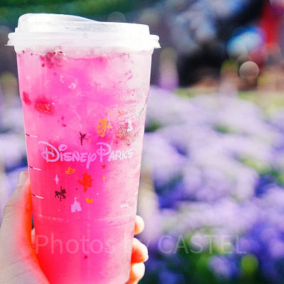 カリフォルニア・アナハイムディズニー：スタバドリンクの限定ロゴ