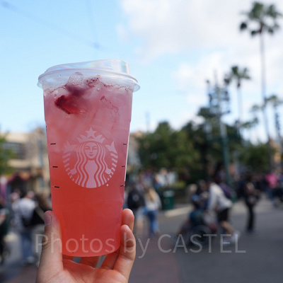 カリフォルニア・アナハイムディズニー：スタバドリンク