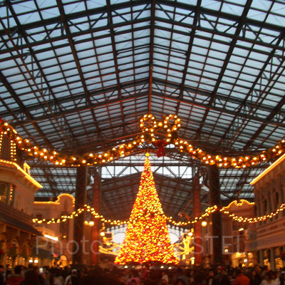 ディズニーランドのクリスマス