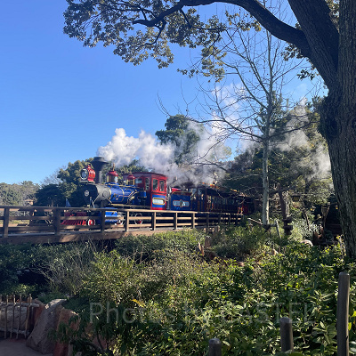 ディズニーランド混雑状況の現地レポート：絶好の写真スポットになったクリッターカントリー