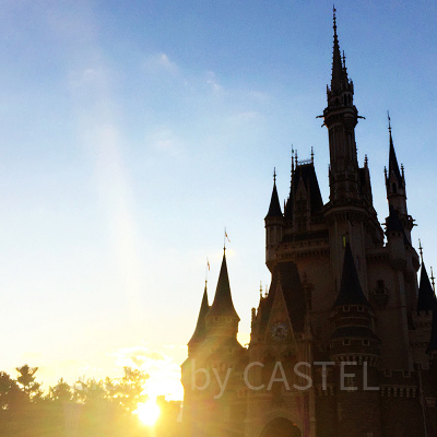 ディズニーランド