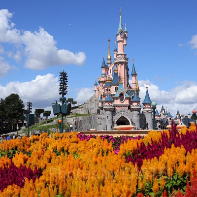 ディズニーランドパリのチケット