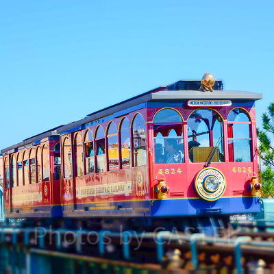 ディズニーシー・エレクトリックレールウェイ