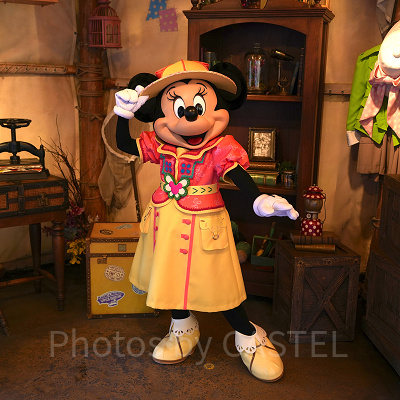 ディズニーシー　ミッキー&フレンズ・グリーティングトレイルのミニー