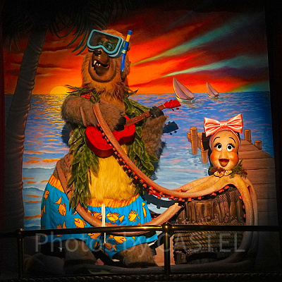 タコの「ドロレス」