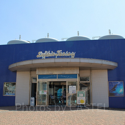 ドルフィン ファンタジー