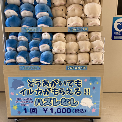 はずれなしのイルカくじ