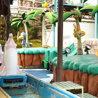 ドルフィンパラダイス