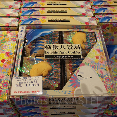 ドルフィンパーククッキー
