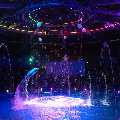 イルカショー・ナイトバージョン（アクアパーク品川）