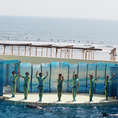 イルカショー　トリーター