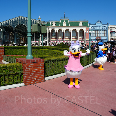 ドナルド＆デイジー