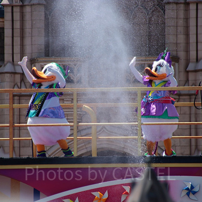 ドナルドダック・デイジーダック