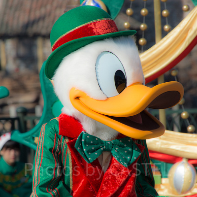 ドナルドダック