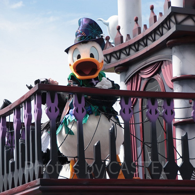 ドナルドダック