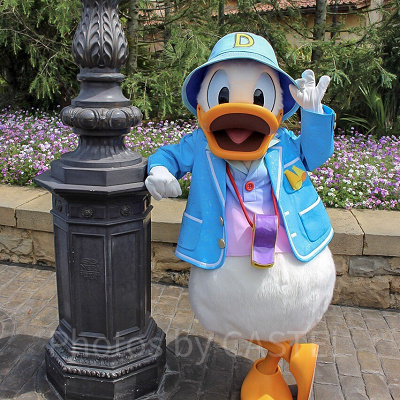 ドナルドダック