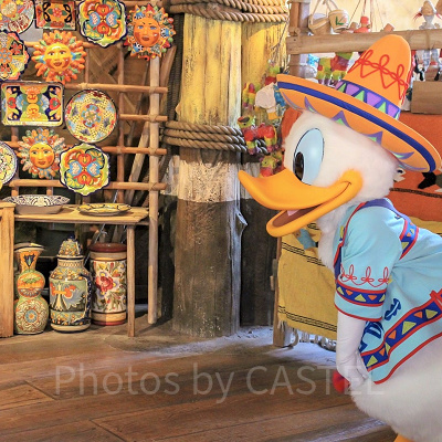 ドナルドダックのグリーティング サルードスアミーゴス