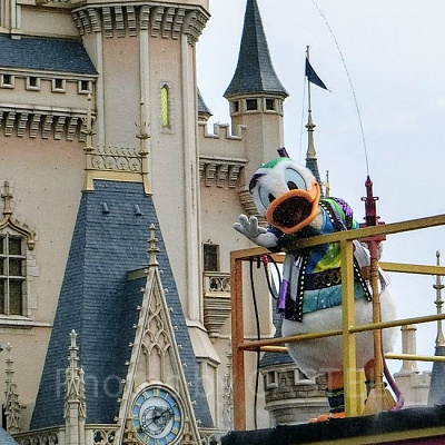 燦水中のドナルド