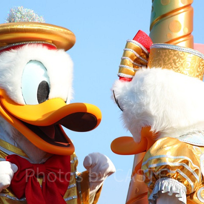 ドナルドの名言⑥：「多分僕はただのアヒルだけど、僕は人間だぞ！」