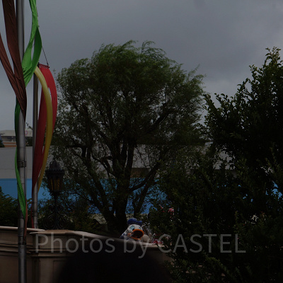 グワグワと言っているドナルド