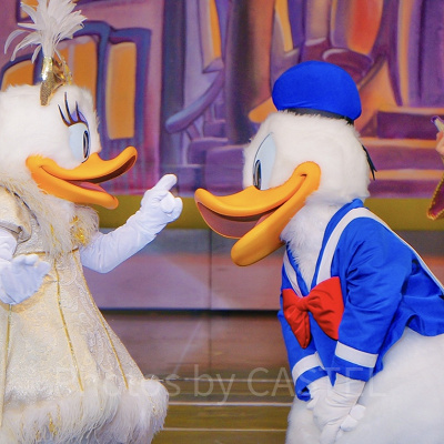 ドナルドの名言②：「愛しのデイジー！どこ行ってたの？」