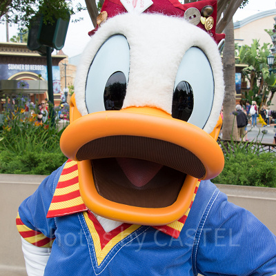 ドナルドの名言①：「グワッ！グワッ！」