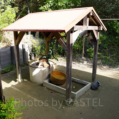 どんどこ森エリアのサツキとメイの家の庭にある井戸