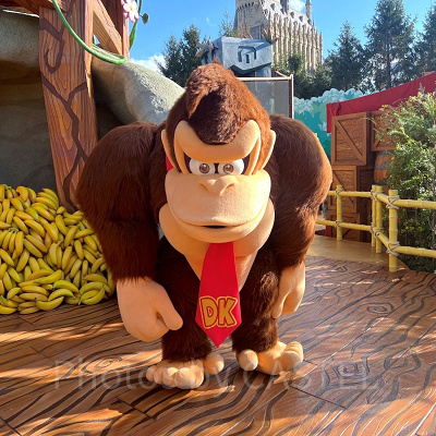 ドンキーコングのグリーティング