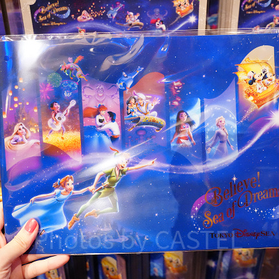 ダブルポケットホルダー（ビリーヴグッズ）