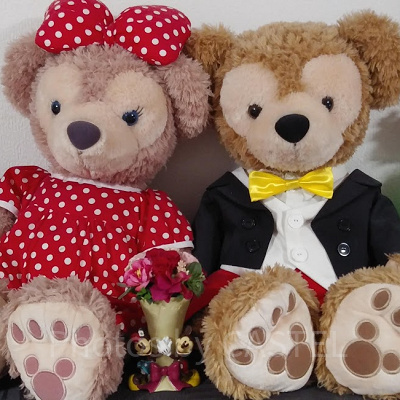 ダッフィーとシェリーメイが仮装してます！（Mサイズ）