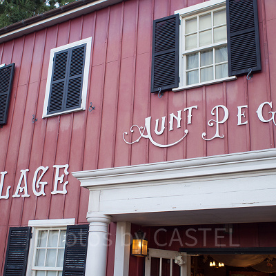 ケープコットクックにあるダッフィーグッズのお店『アーント・ぺグズ・ヴィレッジストア』