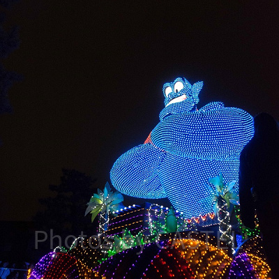 エレクトリカルパレード フロート（TDL・夜）<br /> 設定：16㎜ SS1/100 F3.5 ISO3200