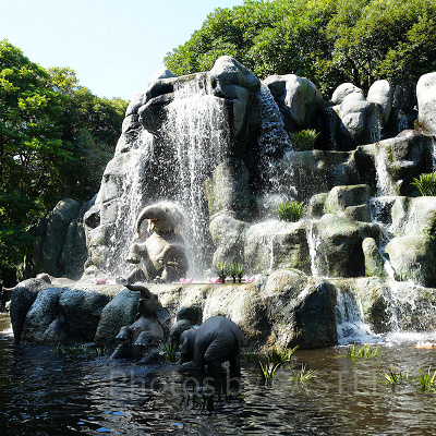 ジャングルクルーズのゾウたち