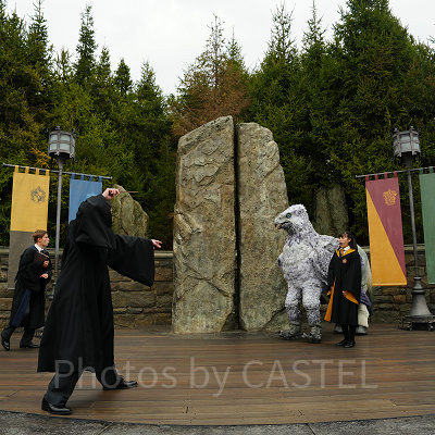 USJ魔法生物との出会い/ヒッポグリフ