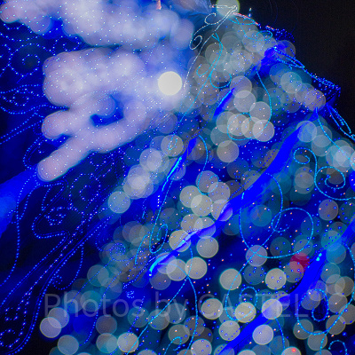 エレクトリカルパレードを楽しもう♪