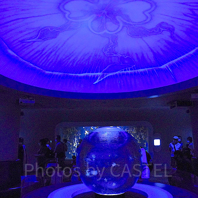 新江ノ島水族館（えのすい）：クラゲショー「海月の宇宙（くらげのそら）」