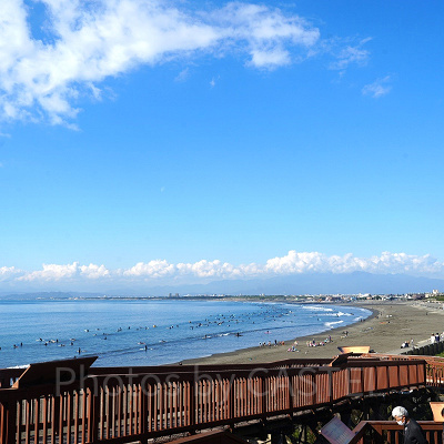 新江ノ島水族館（えのすい）：場所